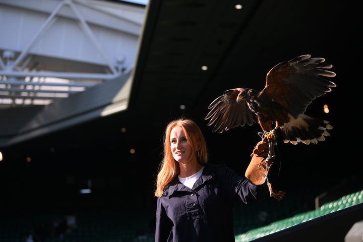 Imogen Davis and Rufus the Hawk pose for a portrait on July 5.