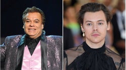 Tenemos la prueba de que Harry Styles es la reencarnación de Juan