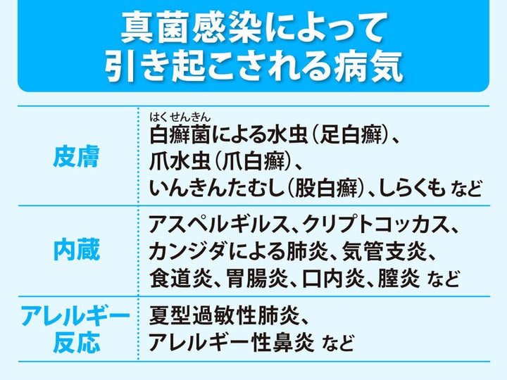 ※注：内蔵は内臓の間違いです