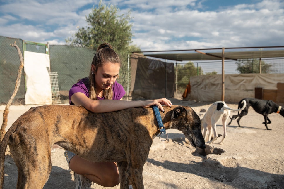 Naiara, la hija mayor de Pura, con uno de los galgos de la