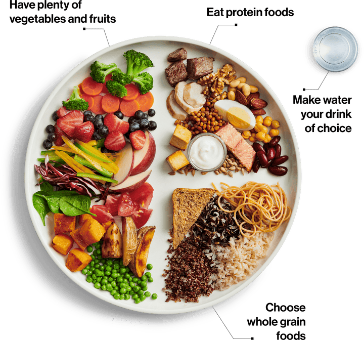 The updated Canada's Food Guide snapshot