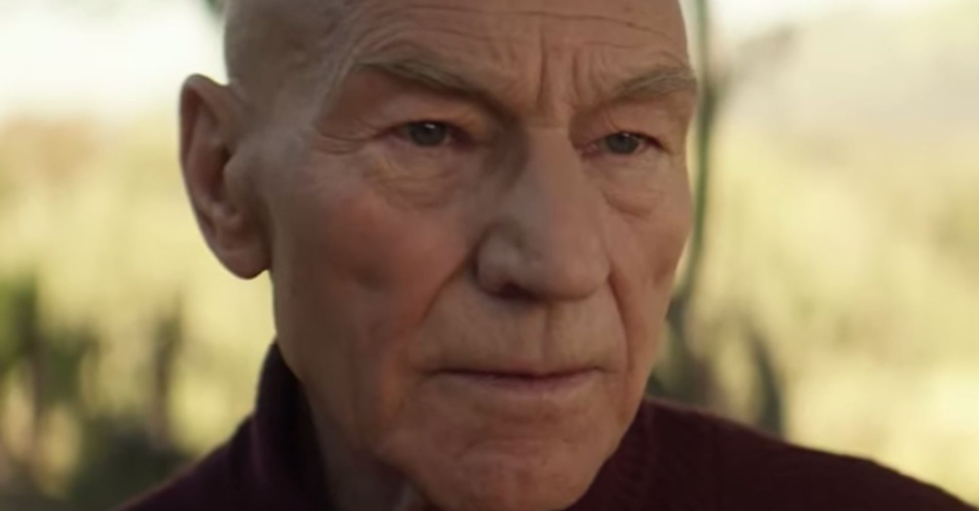 Patrick Stewart Unveils Star Trek Picard Trailer Reveals 2 Surprise Co Stars Huffpost