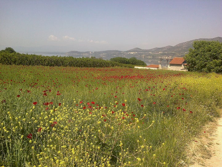 Κοντά στη λίμνη