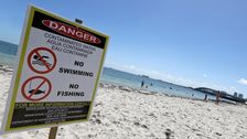 Sun, Sand And Sewage: Report Shows Many U.S. Beaches Unsafe For Swimming