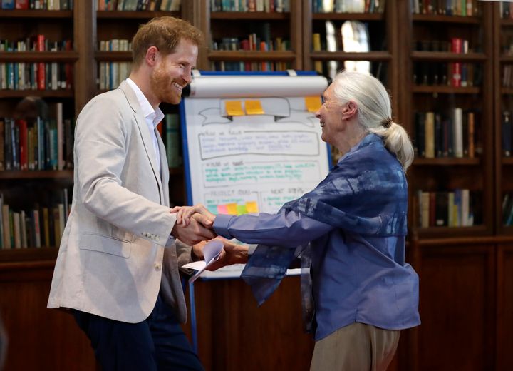 Prince Harry dancing with Jane Goodall at the Roots & Shoots Global Leadership Meeting at Windsor Castle on Tuesday.