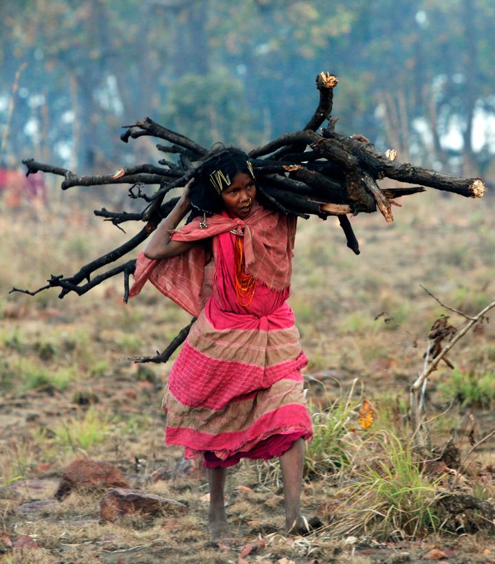 A woman from the Dongria Kondh tribe collects firewood on top of the Niyamgiri mountain, which they worship as their living god, to prepare for a ceremony to protest against plans by Vedanta Resources to mine bauxite from that mountain near Lanjigarh in Orissa.