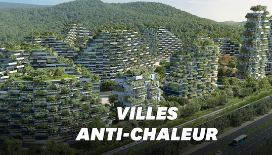 Comment les villes se préparent-elles à lutter contre les canicules à