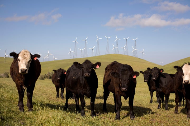 By reducing beef consumption by 19% from 2005 to 2014, Americans reduced carbon emissions equivalent to 39 million fewer cars.