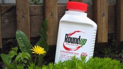 Roundup: les dommages infligés à Monsanto réduits