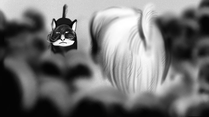 CAT vs DOG 1