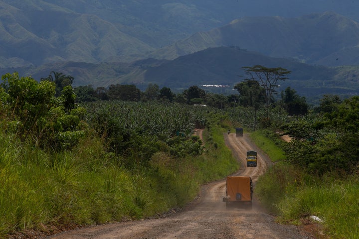 A Dole banana plantation in the Filipino village of San Jose, Impasugong town in Bukidnon province Mindanao. Global Witness investigators allege the land was illegally seized from the people living on it and leased to the food production giant.