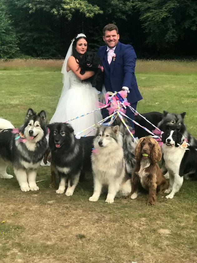 Couple Invite A Dozen Dogs To Wedding – With One Pooch Honoured As Best Man