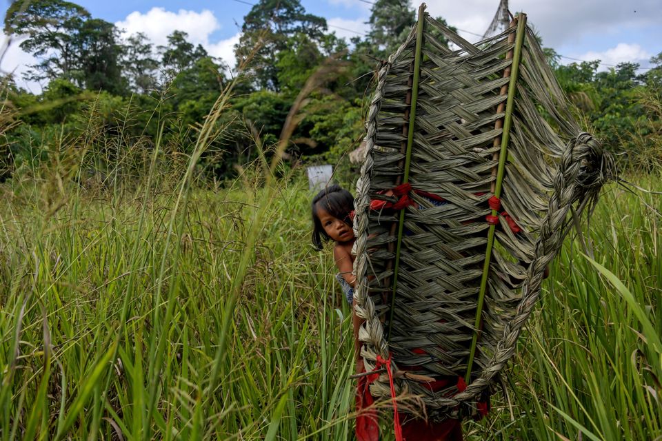 Ένοπλοι μεταλλωρύχοι εισβάλλουν σε χωριό ιθαγενών στον Αμαζόνιο - Φόβοι για εκδιώξεις και
