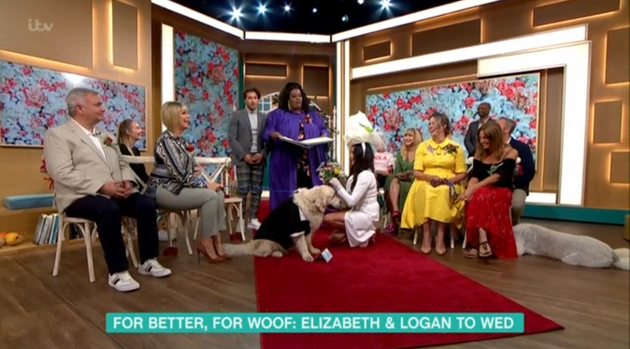 A woman married her dog in surreal scenes on Tuesday's This