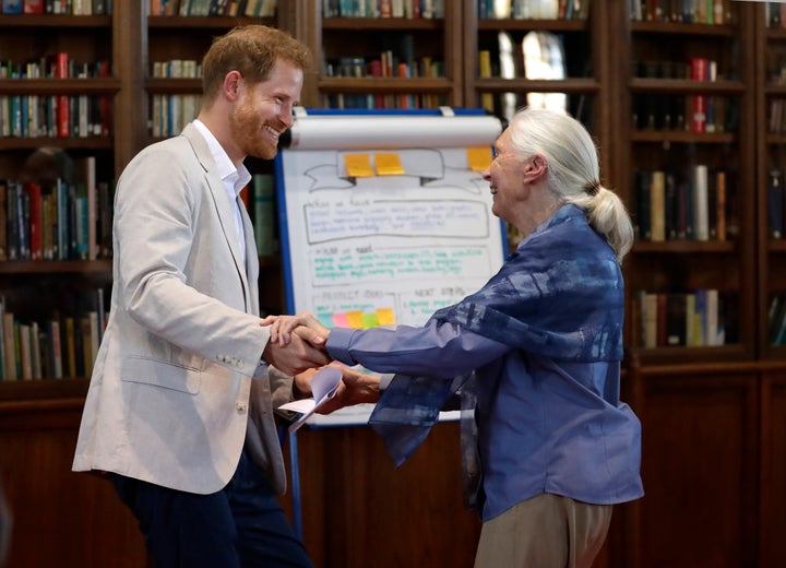 Prince Harry and Dr. Jane Goodall hold hands as he attends the Roots & Shoots Global Leadership Meeting at Windsor Castle