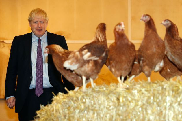 Boris Johnson Poses With Chickens As Snap Of His Aide Dressed As Tory-Taunting Bird Emerges
