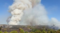 500 hectares partent en fumée dans le Gard et