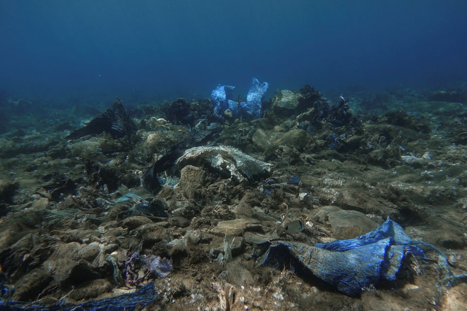 Ο «κόλπος με τα πλαστικά κοράλλια» του Αιγαίου: Η τρομακτική ανακάλυψη στον βυθό της