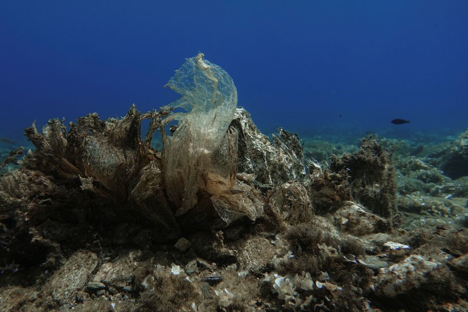 Ο «κόλπος με τα πλαστικά κοράλλια» του Αιγαίου: Η τρομακτική ανακάλυψη στον βυθό της