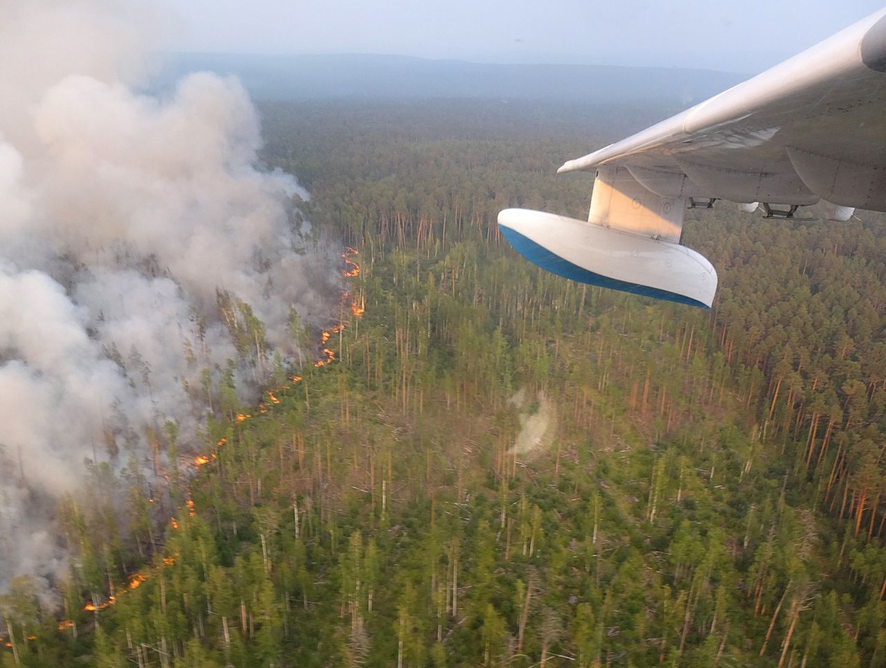 A view of a wildfire from a Beriev Be-200 amphibious aircraft in Russia's Krasnoyarsk Territory