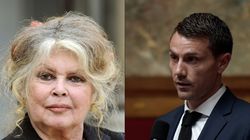 Bardot s’insurge contre une fête du chien dans le Var, un député LREM y voit de