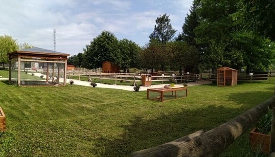 Quatre adolescents ont reconnu le “massacre” d’animaux dans une ferme