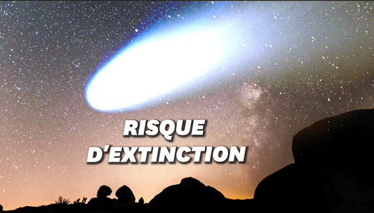 À l’origine des “nuits des étoiles”, une comète qui menace toute vie sur