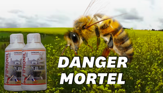 En Russie, 300.000 colonies d’abeilles ont été