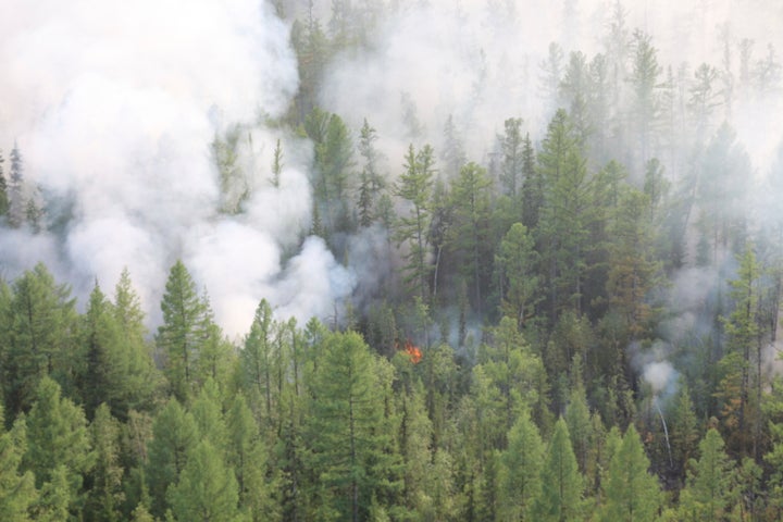 This photo taken on Monday, July 29, 2019 and released by Press Service of the Ministry of Forestry of the Krasnoyarsk Territory, shows an air view of a forest fire in the Boguchansk district of the Krasnoyarsk region, Russia Far East.