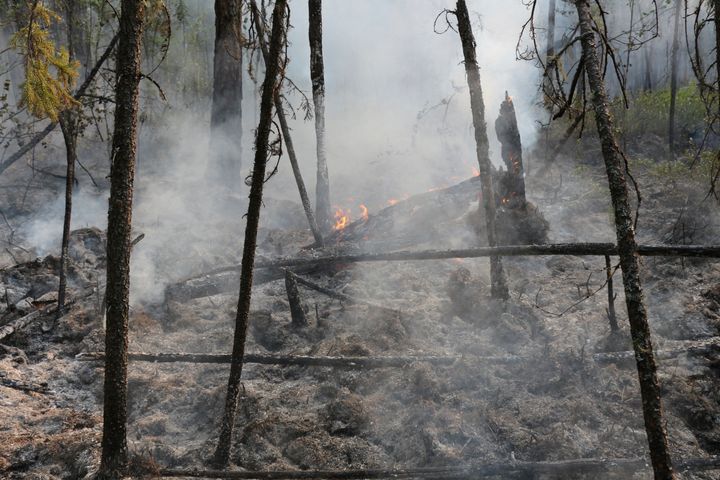 his photo taken on Monday, July 29, 2019 and released by Press Service of the Ministry of Forestry of the Krasnoyarsk Territory, shows a fire in the Boguchansk district of the Krasnoyarsk region, Russia Far East.