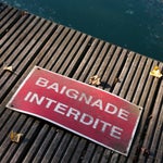 Appel à la vigilance après trois cas de leptospirose, la 