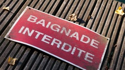 Appel à la vigilance après trois cas de leptospirose, la “maladie des rats”, en