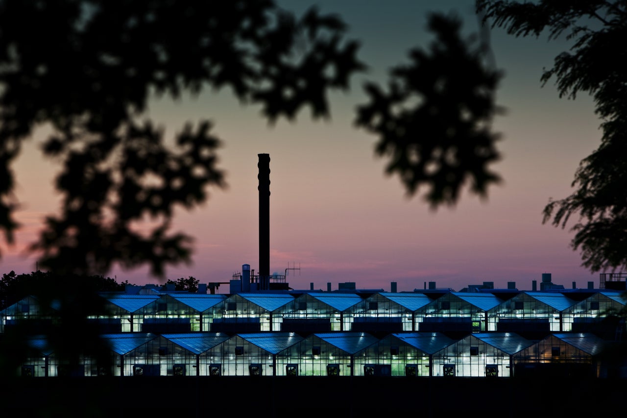 Monsanto agribusiness greenhouses on top of a research building in St. Louis in 2009.