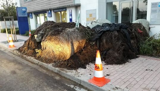 Gilets jaunes et agriculteurs font-ils face à la même