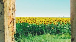 Inès Cagnati novela el amor de una hija por su madre y un crimen