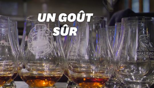 Cette langue artificielle peut analyser votre whisky mieux que