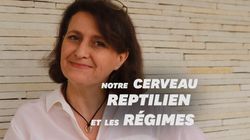 BLOG - Pourquoi tous les régimes pour maigrir sont voués à