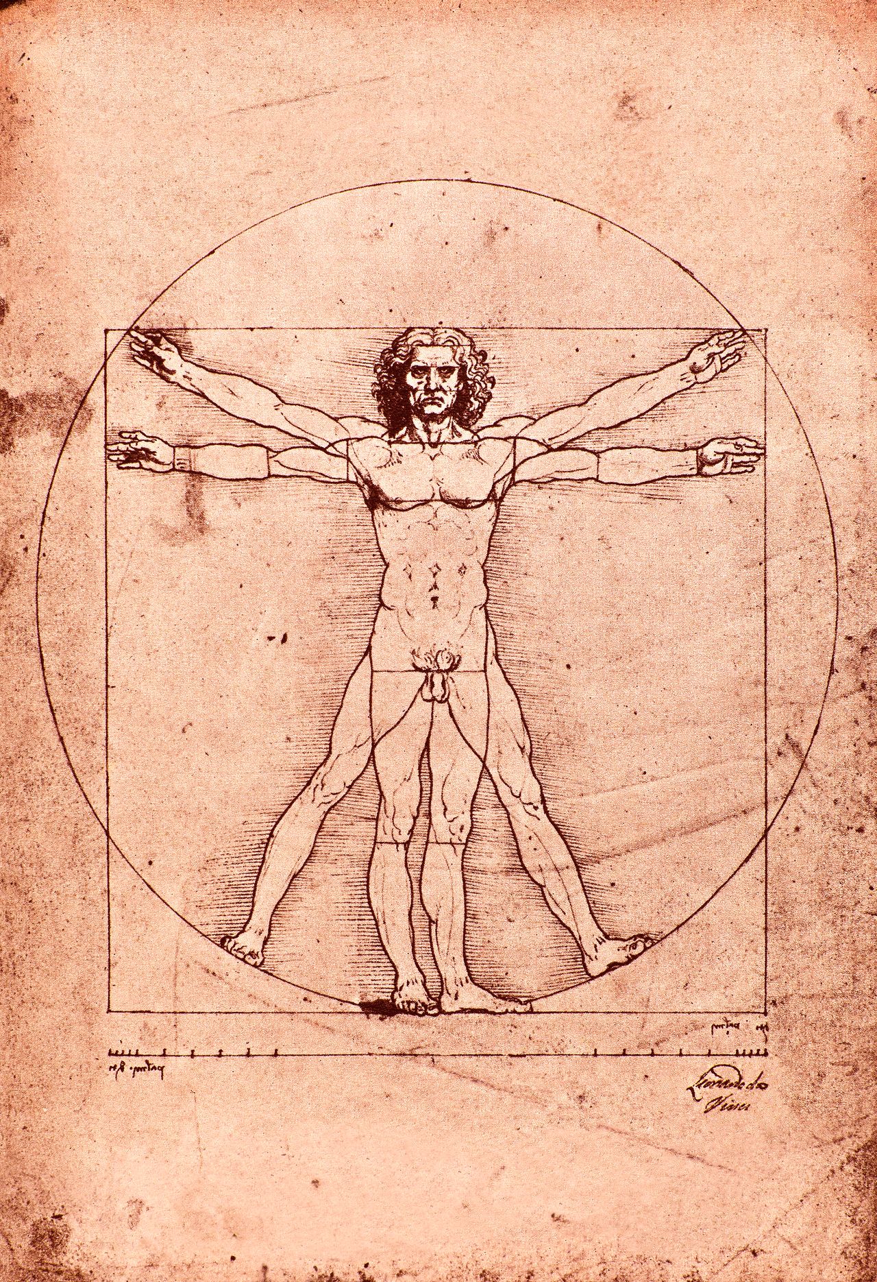 Ο Άνθρωπος του Βιτρούβιου αντιπροσωπεύει τις ιδανικές αναλογίες του ανθρώπινου σώματος. Οι αναλογίες αυτές στηρίζονται στη Γεωμετρία. Η περίπτωση της Κάστερ Σεμένια είναι πολύ πιο πολύπλοκη.