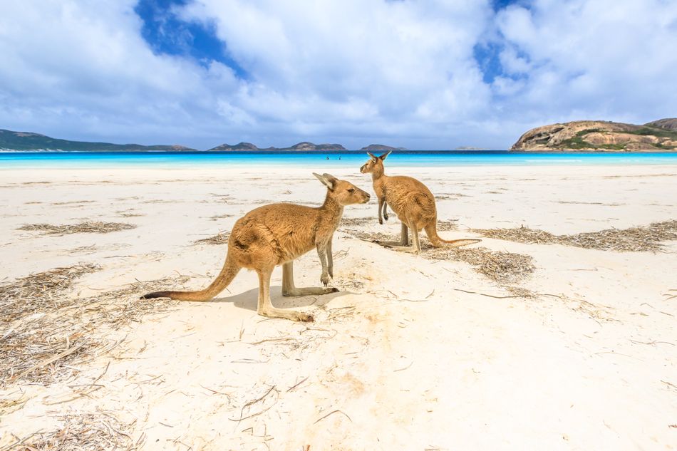 Le 50 Spiagge Da Vedere Almeno Una Volta Nella Vita Lhuffpost