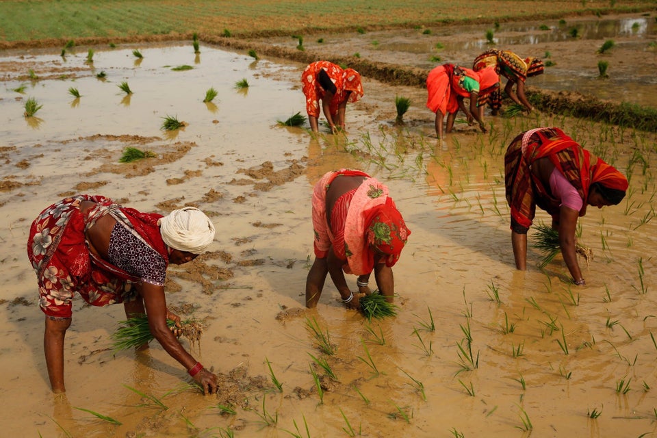 Η κλιματική αλλαγή απειλεί τα παγκόσμια αποθέματα