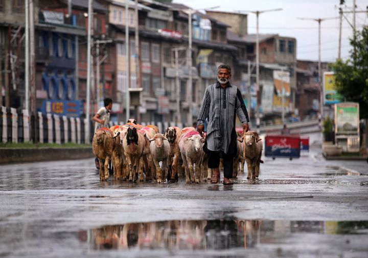 A man walks with a herd of sheep in a deserted road during restrictions in Srinagar August 8, 2019.