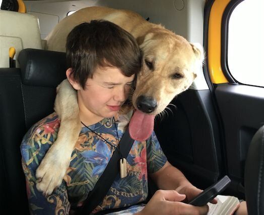 Canyon Mansfield with his beloved dog, Casey, in a photo provided in 2017. Casey was killed by a triggered cyanide bomb, and Canyon was hospitalized.