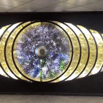 『新宿の目』が復活。元どおり輝く瞳にネット歓喜「手術が終わった」（動画）