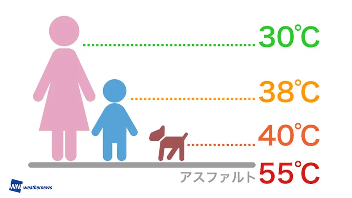 犬の熱中症に要注意 見過ごしがちなのは 散歩 と専門家 ハフポスト Life