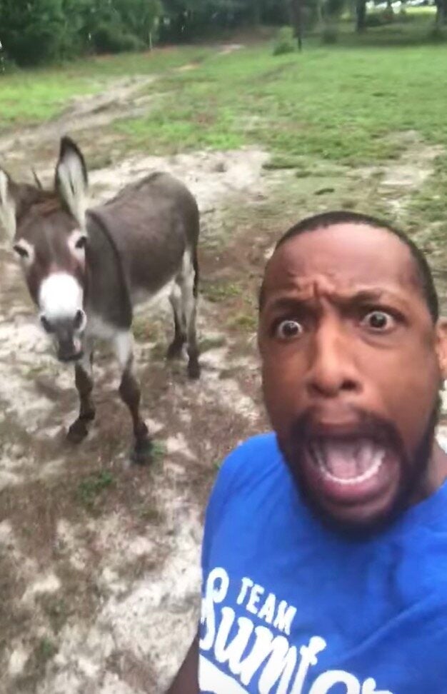 ライオン キング の名曲を歌ってみたら ロバがコーラスに加わってきた 動画 ハフポスト World ライオン キング の名曲を歌ってみたら ロバがコーラスに加わってきた 動画 ハフポスト World