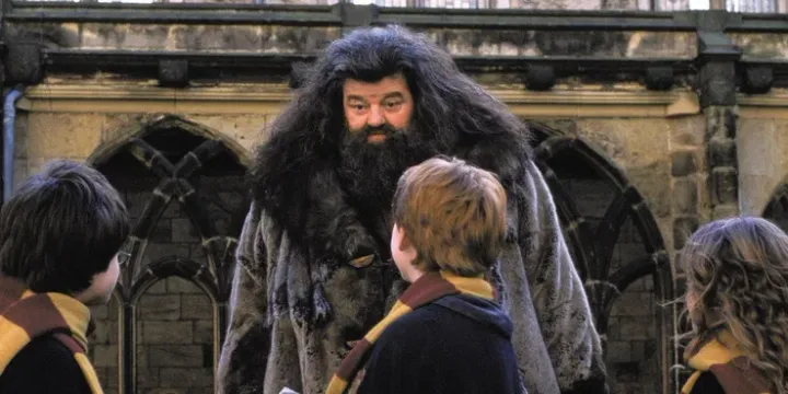 La teoría que demuestra que Hagrid, de 'Harry Potter', no es tan bueno como  pensabas | El HuffPost Tendencias