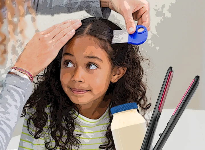 How To Properly Treat Head Lice Because Hair Straighteners And