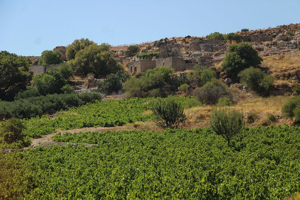 Ο μεσαιωνικός οικισμός του Κατελιώνα (Catteglion) με τοναμπελώνα του. Στην ενετική απογραφή του 1583 είχε 428 κατοίκους.Σταδιακά εγκαταλείφθηκε