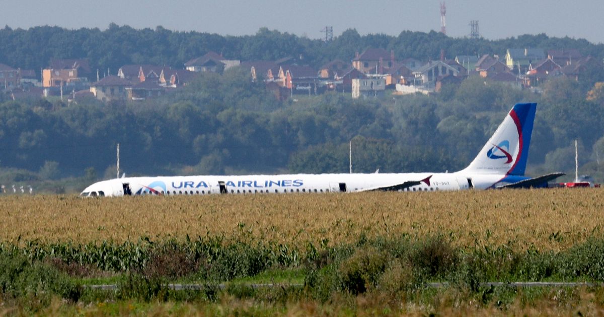 Самолет сел в поле. A321 на взлете. Жуковский кукурузное поле. Аварийная посадка. Аэропорт Жуковский стоянка самолетов.