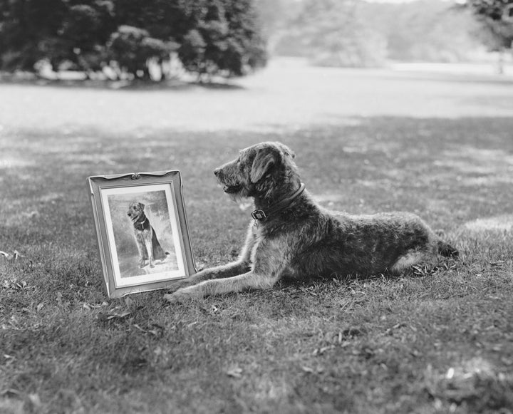 Laddie Boy poses with his portrait. 